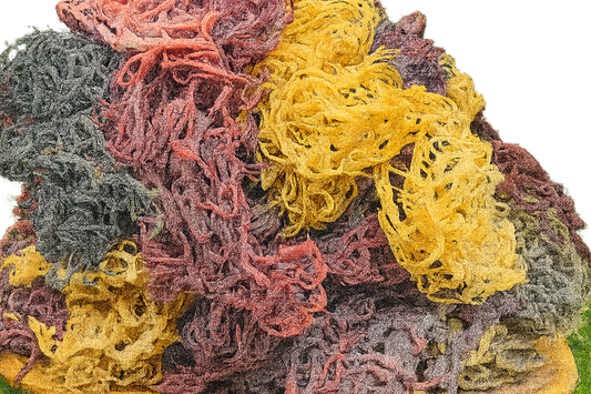 Full Spectrum Seamoss - Wholesale