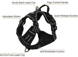 Harnais Rabbitgoo No-Pull