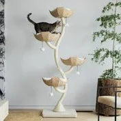 Arbre à chat Mau Gravity