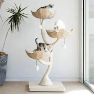 Arbre à chat Mau Gravity