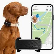 Collier Tractive GPS