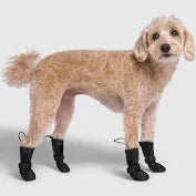 Bottines Canada Pooch
